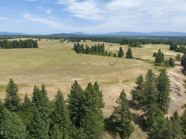 1605 Jasmine Ln, Parcels 14 & 15, Weippe, ID 83553