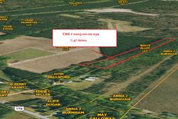 0 Eddie Lane photo 4