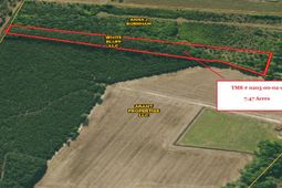 0 Eddie Lane photo 4