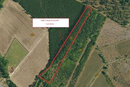 0 Eddie Lane photo 4