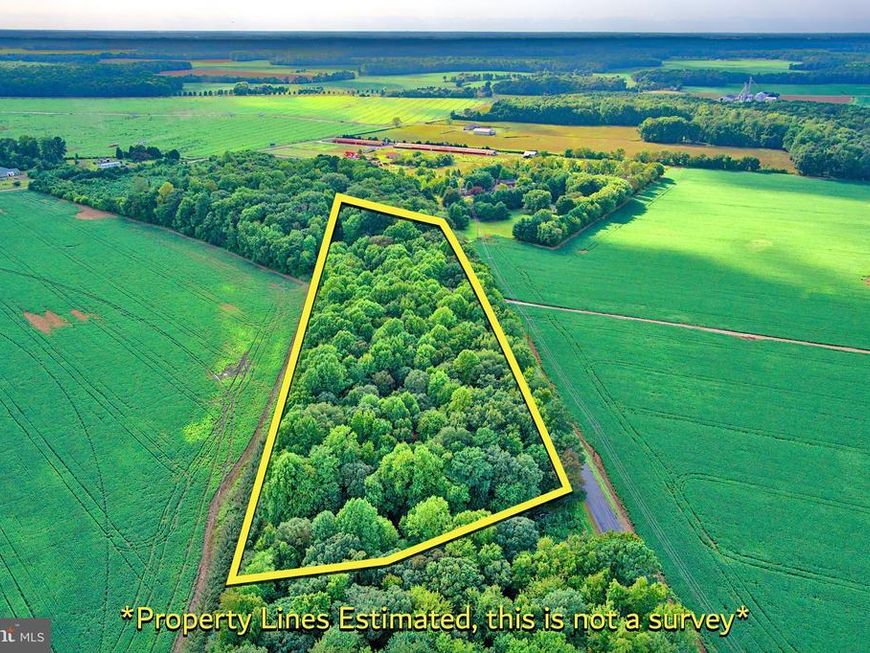 Iron Gate Road, Federalsburg, MD 21632 Main Photo