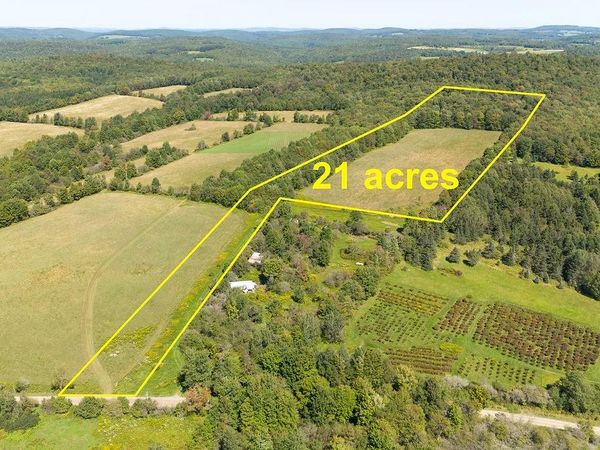 Lot 11 Warren Road, Delhi, NY 13753