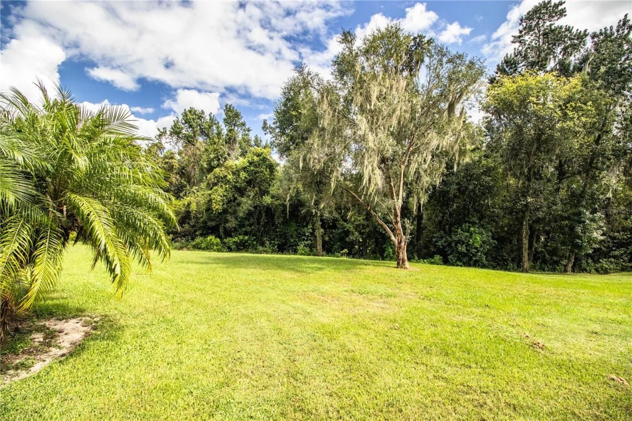 310 Willow Oak Court, Fort Meade, FL 33841 Photo