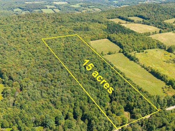 Lot 3 Warren Road, Delhi, NY 13753