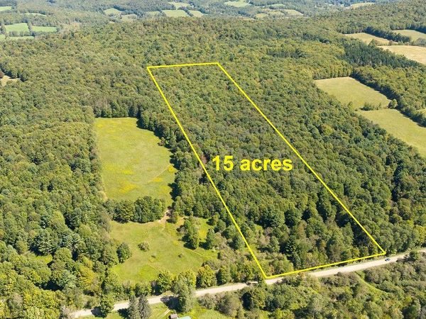 Lot 2 Warren Road, Delhi, NY 13753