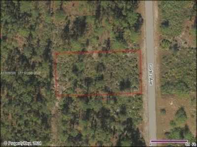 1715 Cortez, Lehigh Acres, FL 33972 Photo