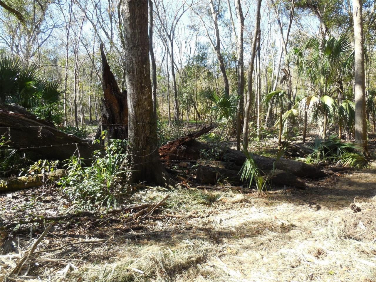 152 Tall Oak Trail, Zolfo Springs, FL 33890 Photo