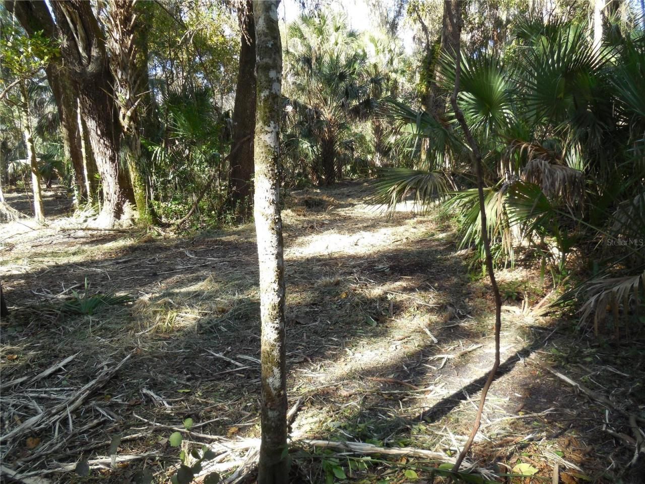 152 Tall Oak Trail, Zolfo Springs, FL 33890 Photo