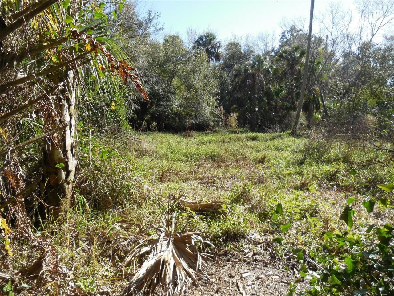 152 Tall Oak Trail, Zolfo Springs, FL 33890 Photo