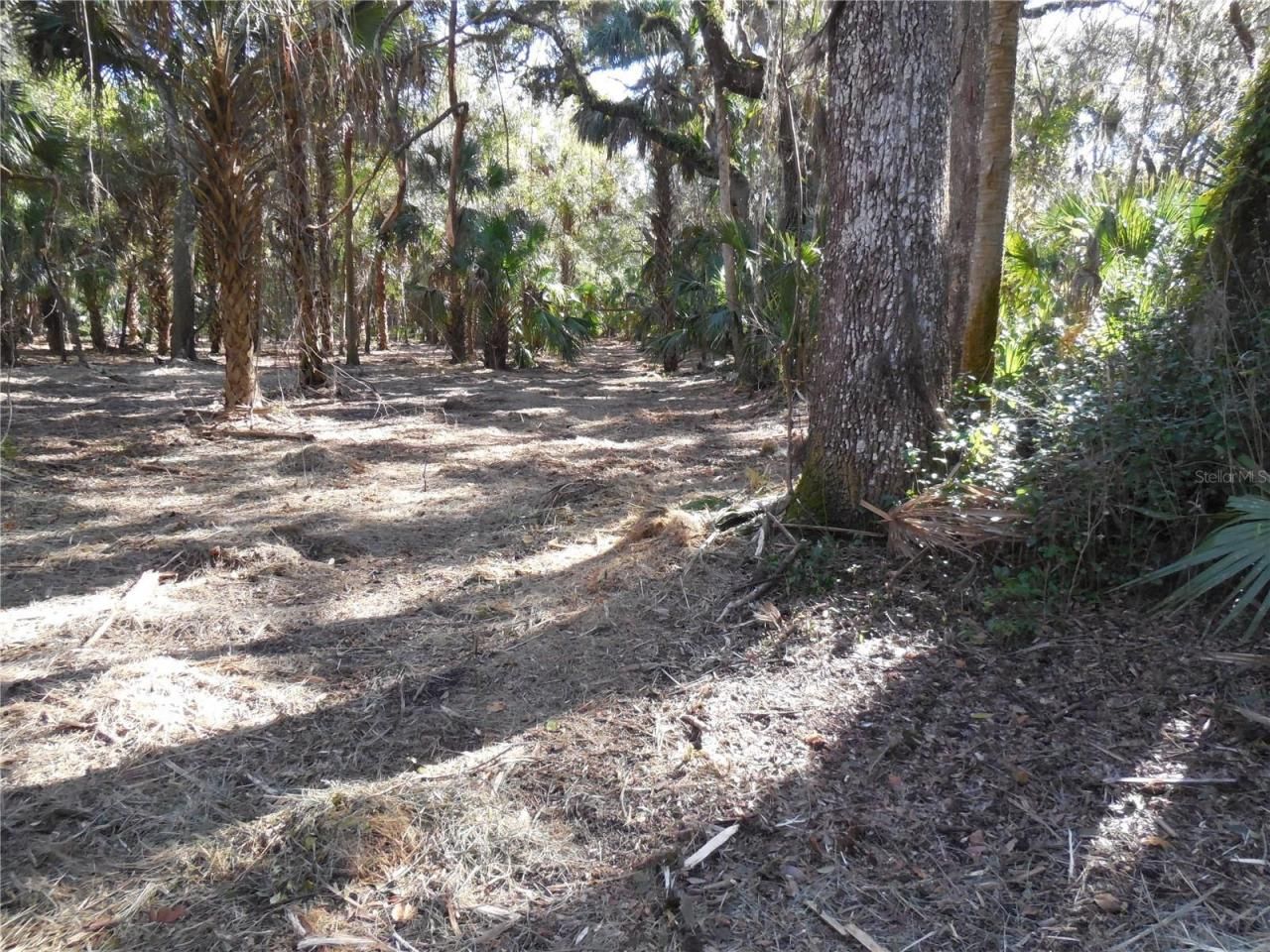 152 Tall Oak Trail, Zolfo Springs, FL 33890 Photo