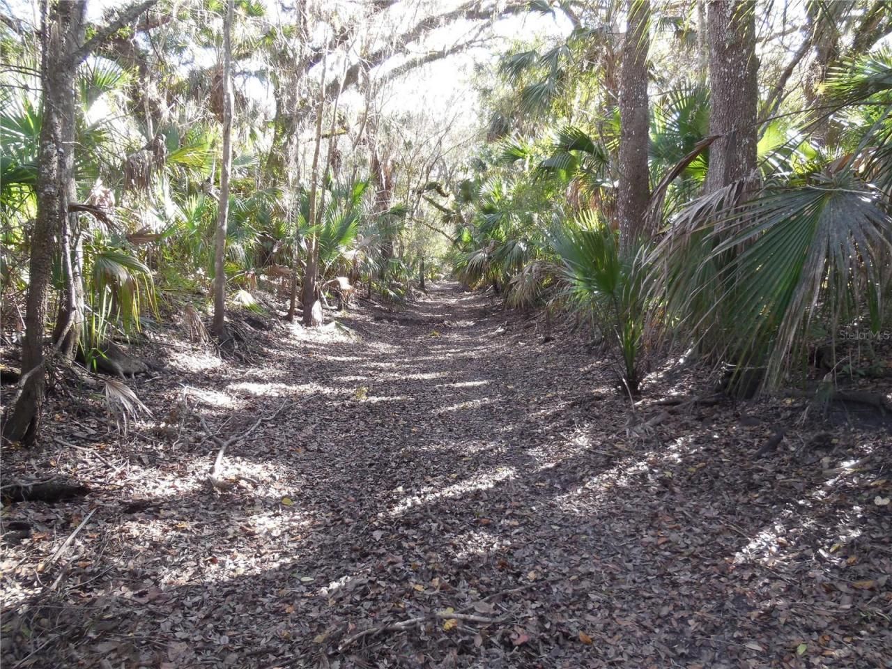 152 Tall Oak Trail, Zolfo Springs, FL 33890 Photo