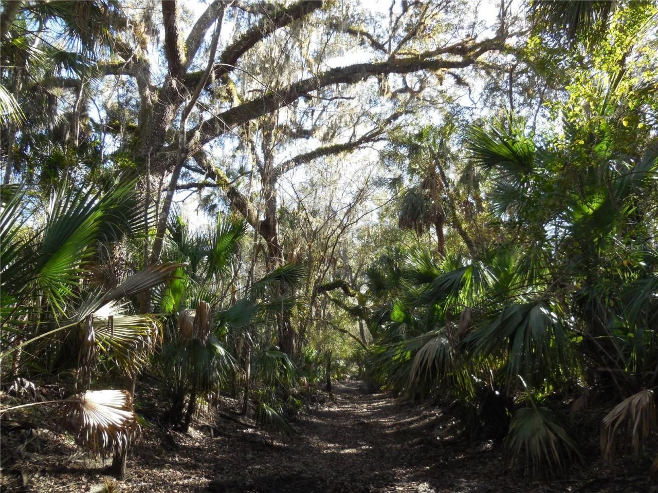 152 Tall Oak Trail, Zolfo Springs, FL 33890 Photo