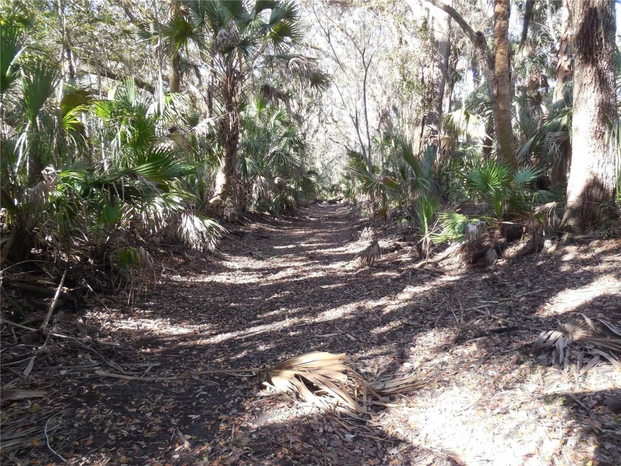 152 Tall Oak Trail, Zolfo Springs, FL 33890 Photo