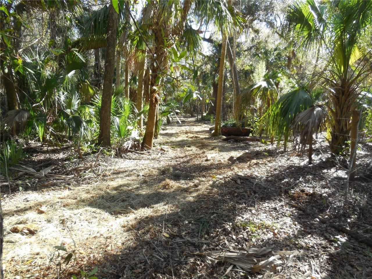 152 Tall Oak Trail, Zolfo Springs, FL 33890 Photo