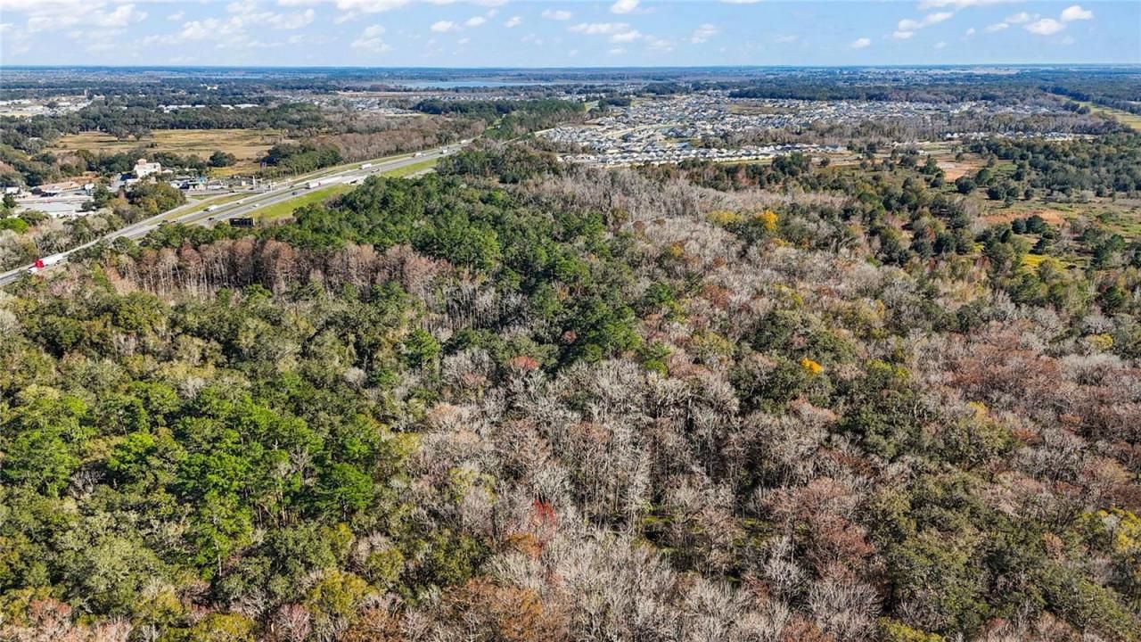 Hwy 301 / Main Street, Wildwood, FL 34785 Photo