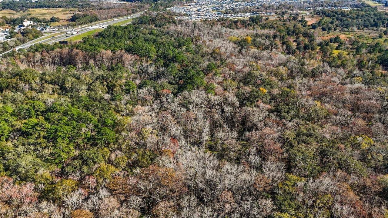 Hwy 301 / Main Street, Wildwood, FL 34785 Photo