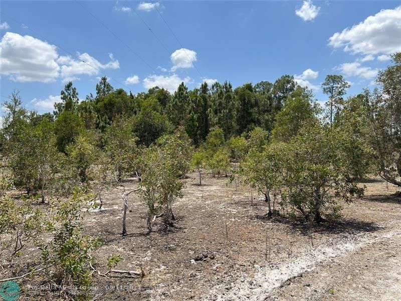 13401 Northlake Blvd, West Palm Beach, FL 33412 Photo