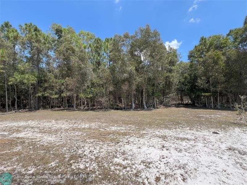 13401 Northlake Blvd, West Palm Beach, FL 33412 Photo