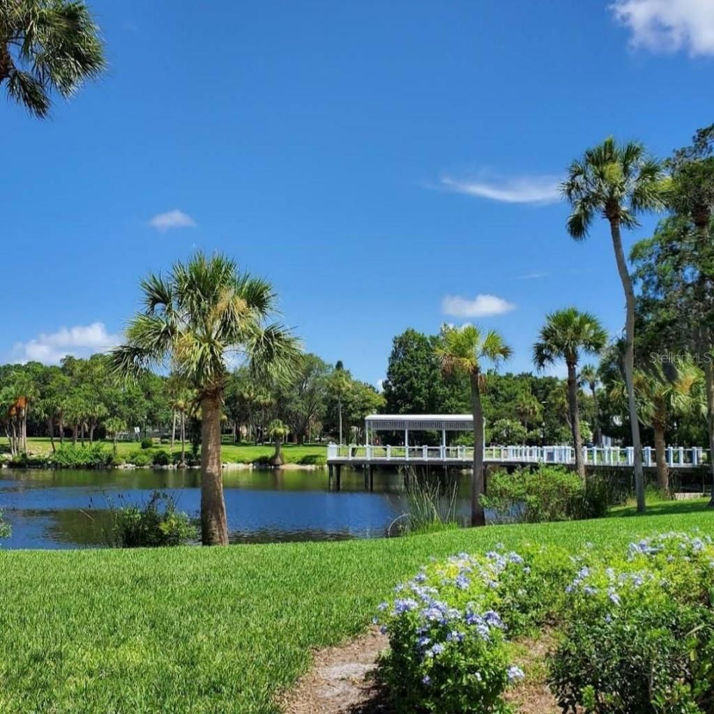 6313 Oelsner Street, New Port Richey, FL 34652 Photo
