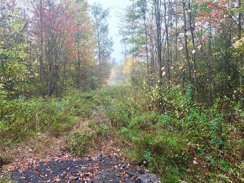 Bryant, Garrettsville, OH 44231 Photo 12