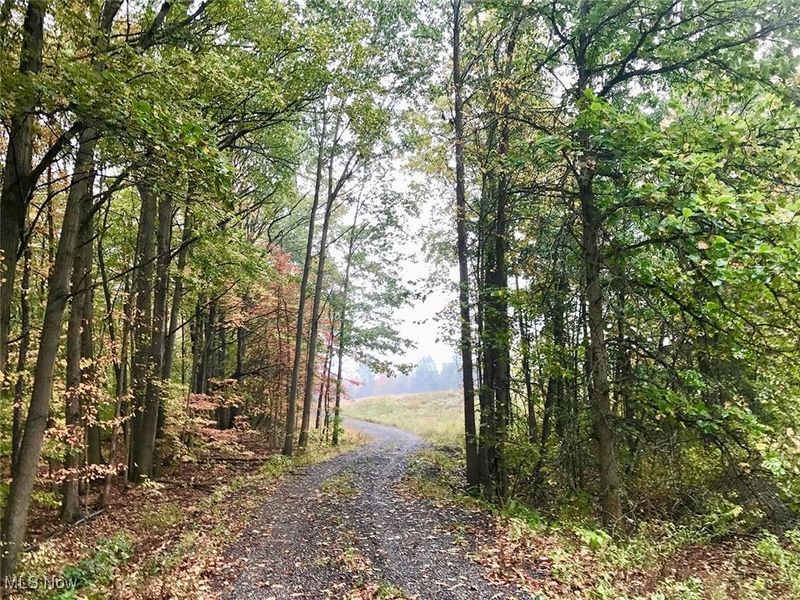 Bryant, Garrettsville, OH 44231 Photo 13