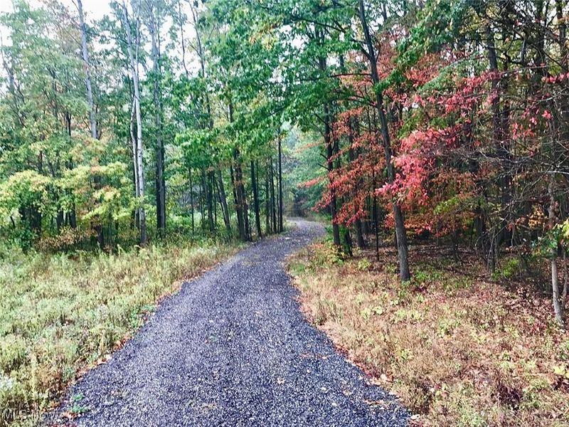 Bryant, Garrettsville, OH 44231 Photo 5