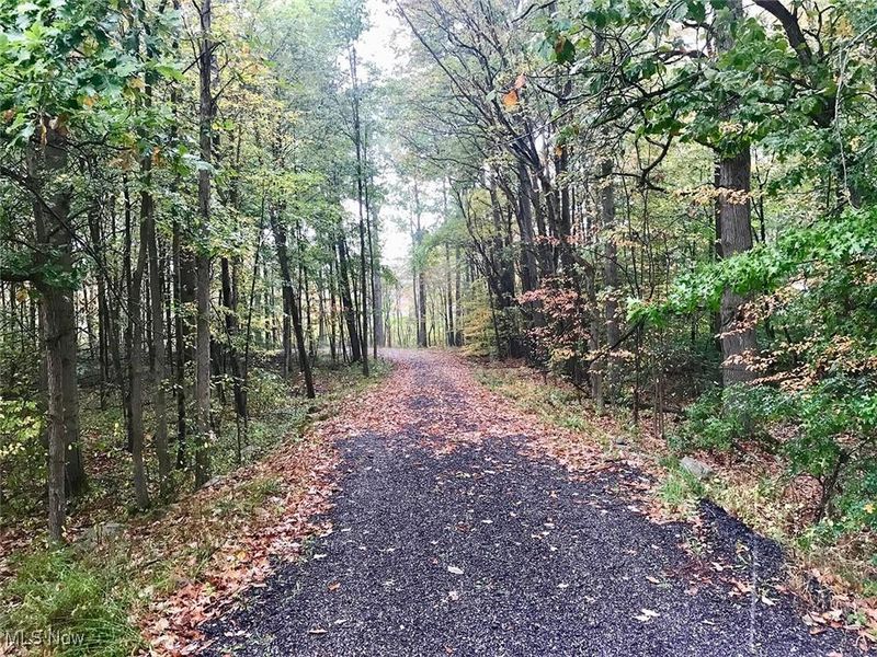 Bryant, Garrettsville, OH 44231 Photo 6