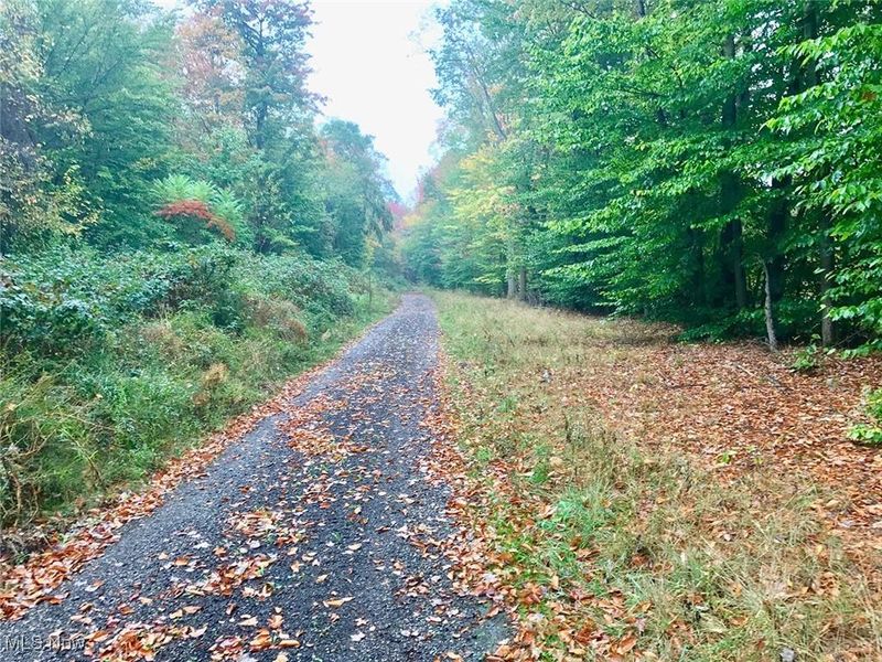 Bryant, Garrettsville, OH 44231 Photo 8