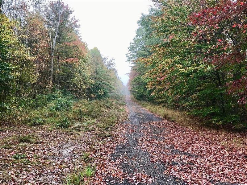 Bryant, Garrettsville, OH 44231 Photo 13