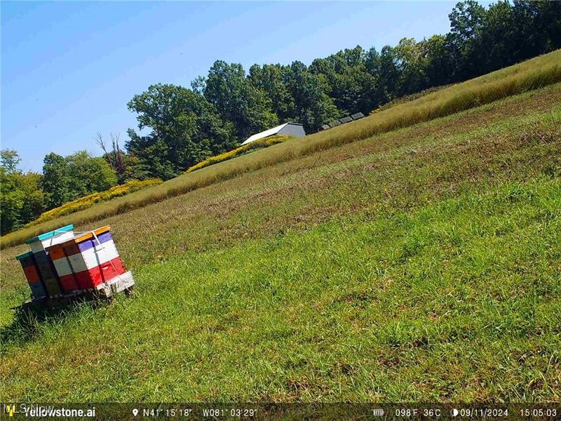 Bryant, Garrettsville, OH 44231 Photo 15