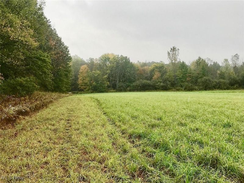 Bryant, Garrettsville, OH 44231 Photo 20