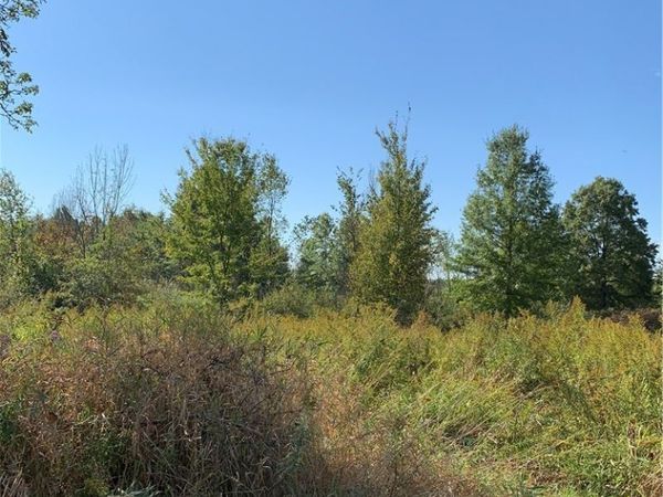 VL State Route 82, Garrettsville, OH 44231