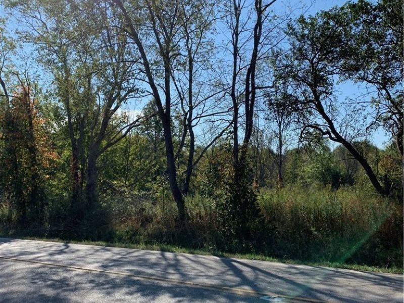 VL State Route 82, Garrettsville, OH 44231 Photo 3