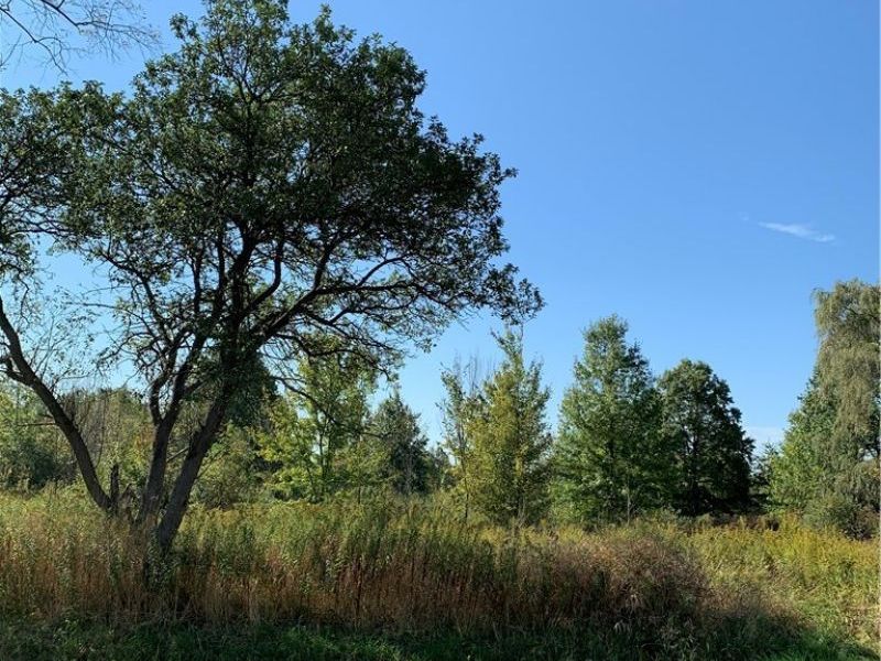 VL State Route 82, Garrettsville, OH 44231 Photo 4