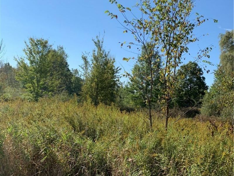 VL State Route 82, Garrettsville, OH 44231 Photo 6