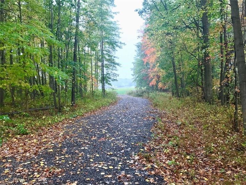 Bryant & SR 82, Garrettsville, OH 44231 Photo 10