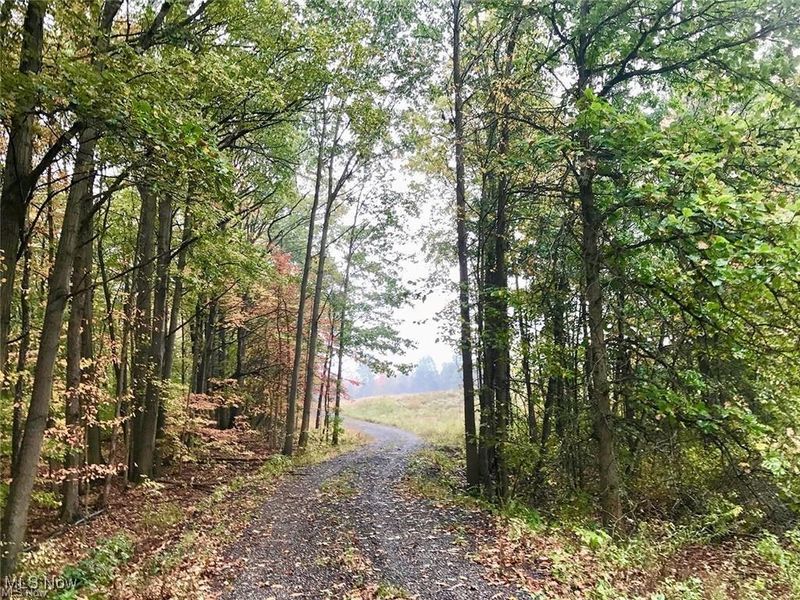 Bryant & SR 82, Garrettsville, OH 44231 Photo 15