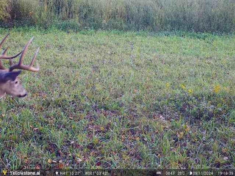 Bryant & SR 82, Garrettsville, OH 44231 Photo 23