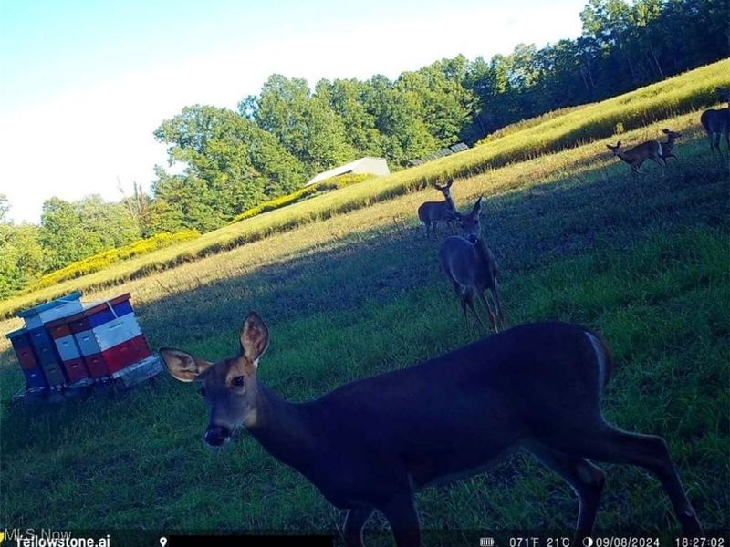Bryant & SR 82, Garrettsville, OH 44231 Photo 24