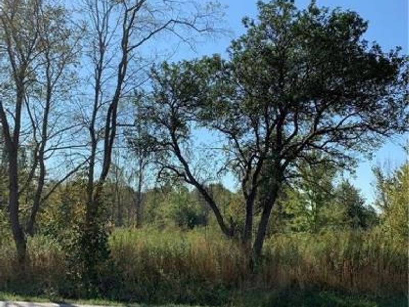 Bryant & SR 82, Garrettsville, OH 44231 Photo 25