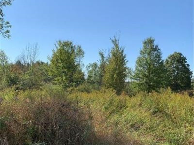 Bryant & SR 82, Garrettsville, OH 44231 Photo 27