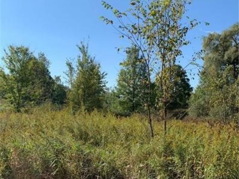 Bryant & SR 82, Garrettsville, OH 44231 Photo 28