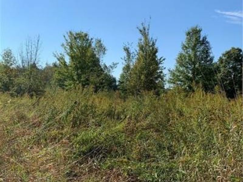 Bryant & SR 82, Garrettsville, OH 44231 Photo 30