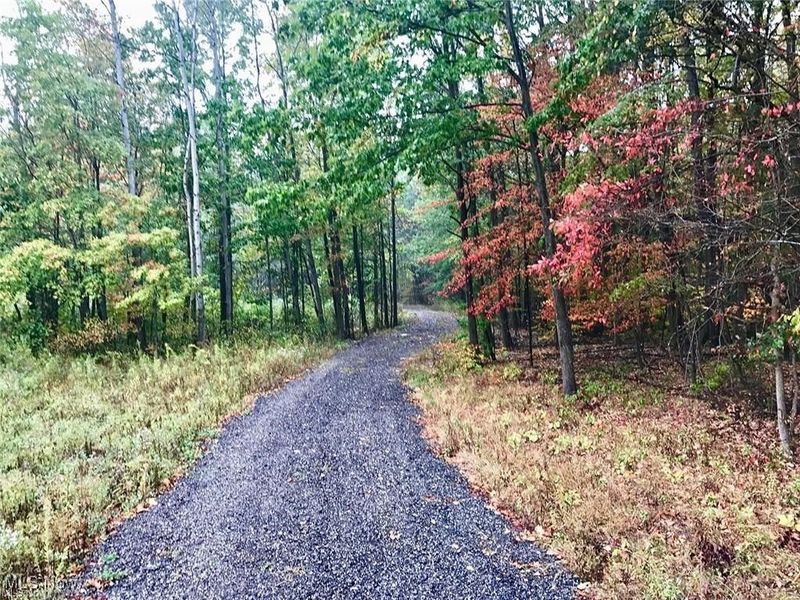 Bryant & SR 82, Garrettsville, OH 44231 Photo 8