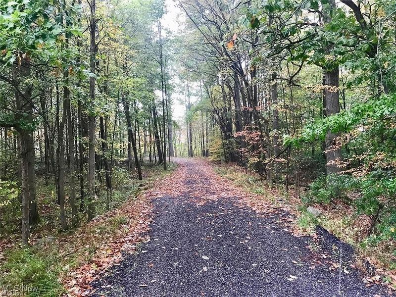 Bryant & SR 82, Garrettsville, OH 44231 Photo 9