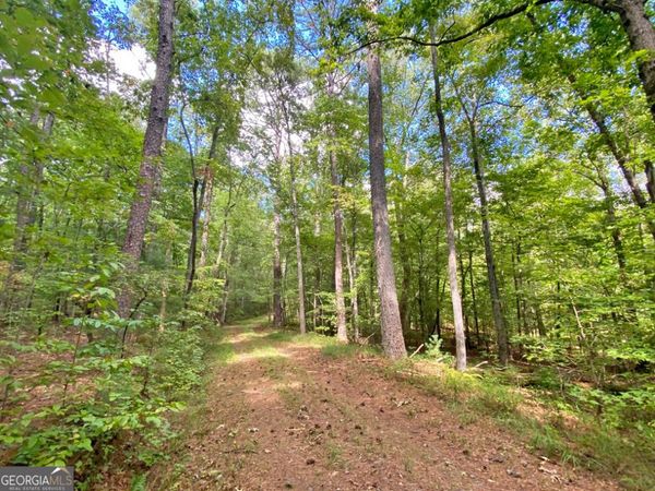 152AC Whitepath Road, Ellijay, GA 30540