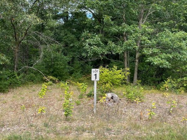 Lot 1 Renaissance Park, Manistee, MI 49660