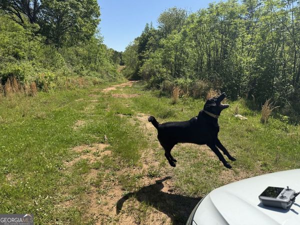 0 Us 53 Highway, Bogart, GA 30622
