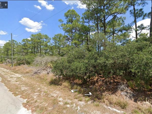 1051 Rigde St, Lake Placid, FL 33852