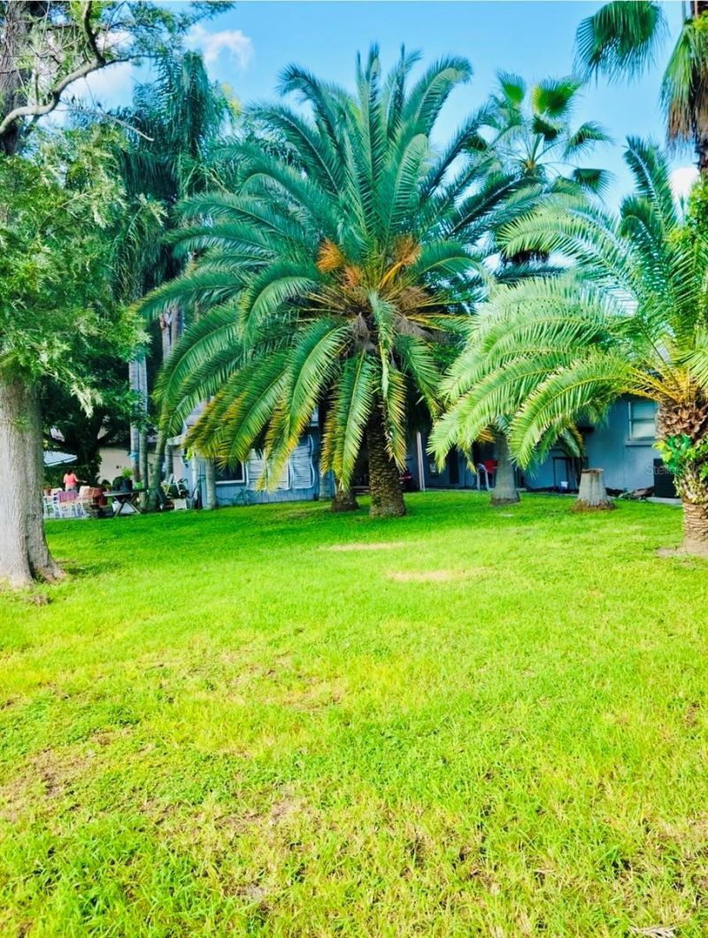 5050 74th Street N, Unit 1, Saint Petersburg, FL 33709 Photo